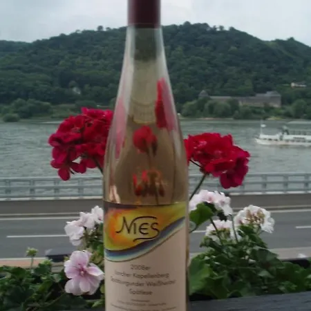 Weingut Theodor Nies Lorch am Rhein