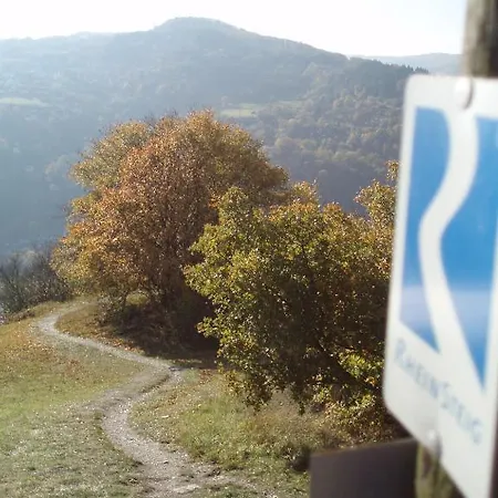 Weingut Theodor Nies Lorch am Rhein