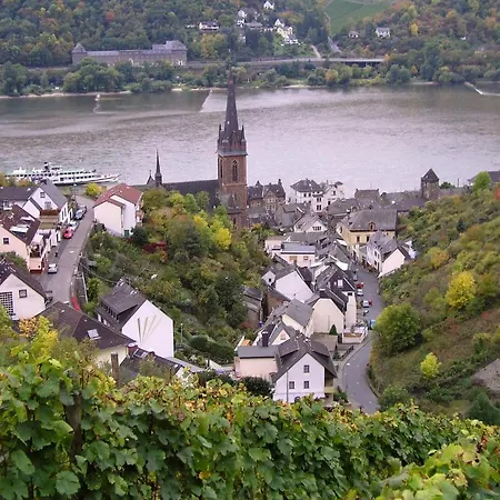 Weingut Theodor Nies דירה *