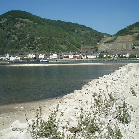 Weingut Theodor Nies * Lorch am Rhein