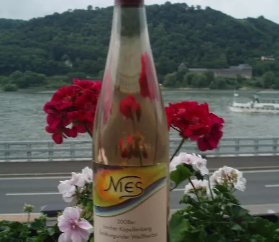 Weingut Theodor Nies Lorch am Rhein