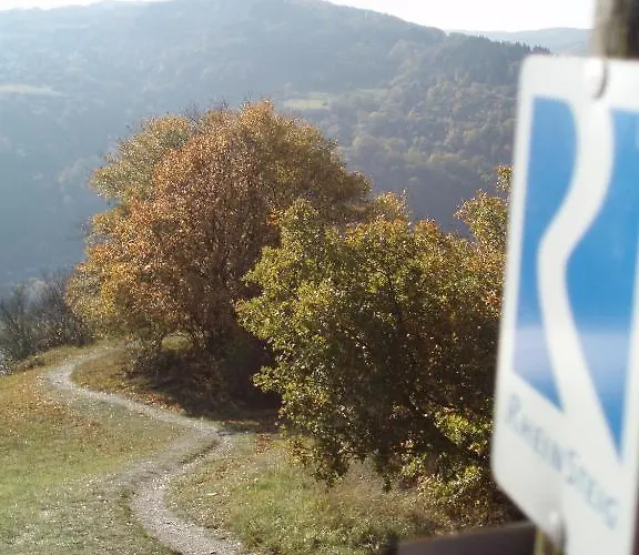 Weingut Theodor Nies Lorch am Rhein